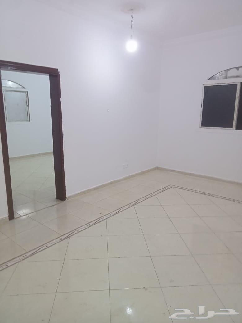شقة للإيجار