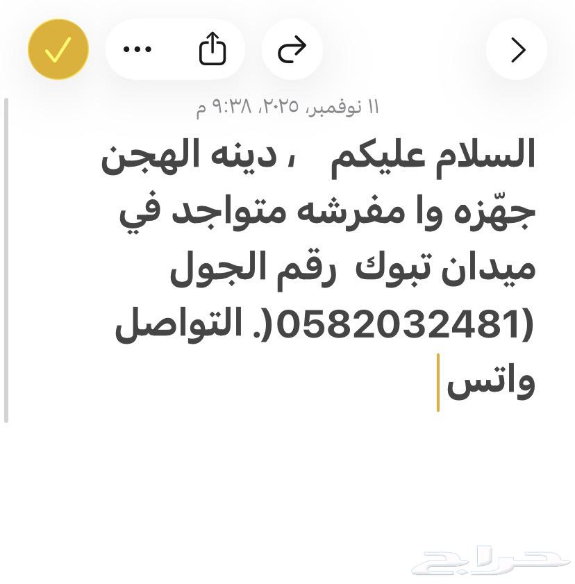 دينه إلى الهجن64380073857155110