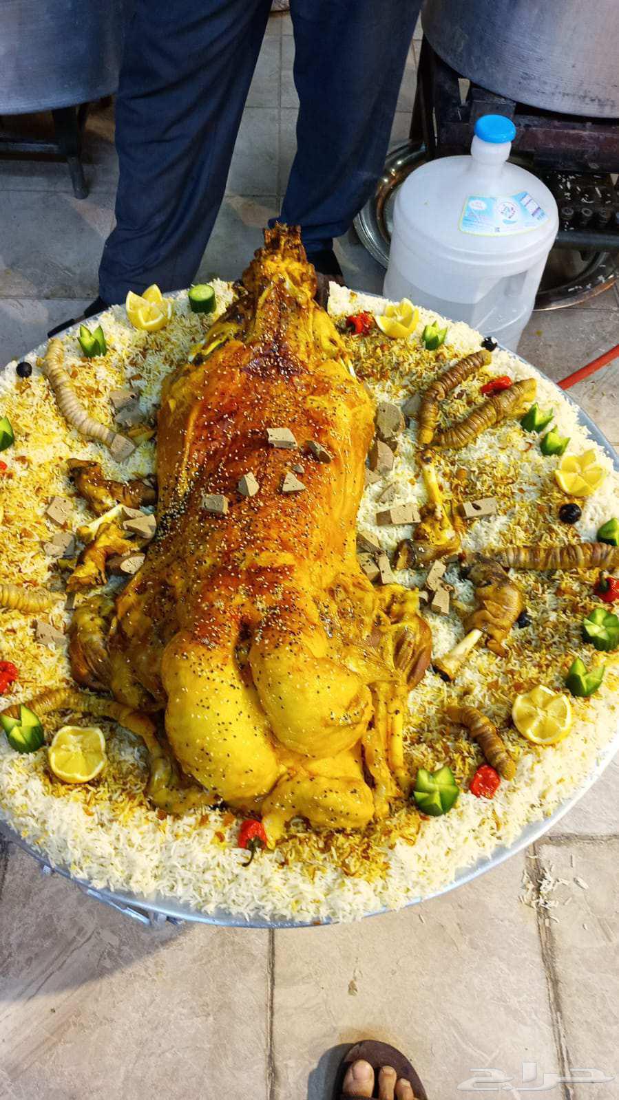 الطباخ أبو حسين طباخ متنقل64370214740865112