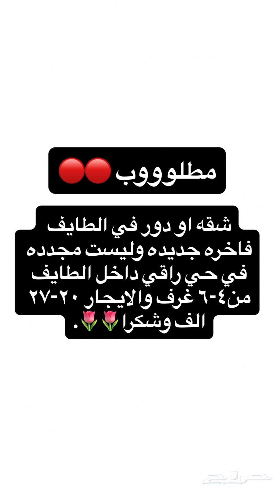 مطلوب شقه او دور في الطايف64379924326146110