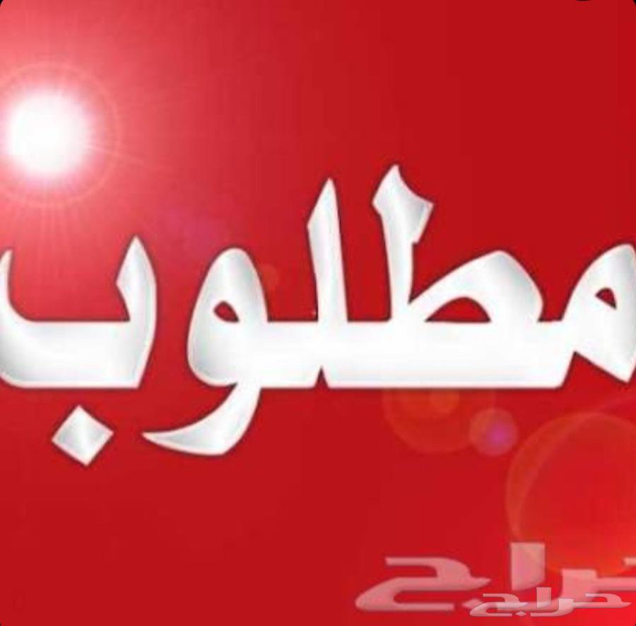 مطلوب شقه للايجار في الدهاس او معترض64379924341249110