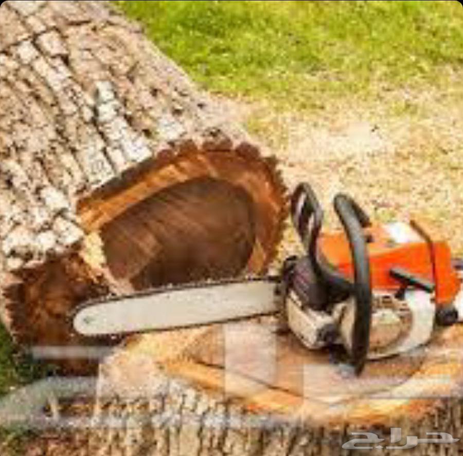 تكريب النخيل وقص وزراعة الأشجار64403068110211112