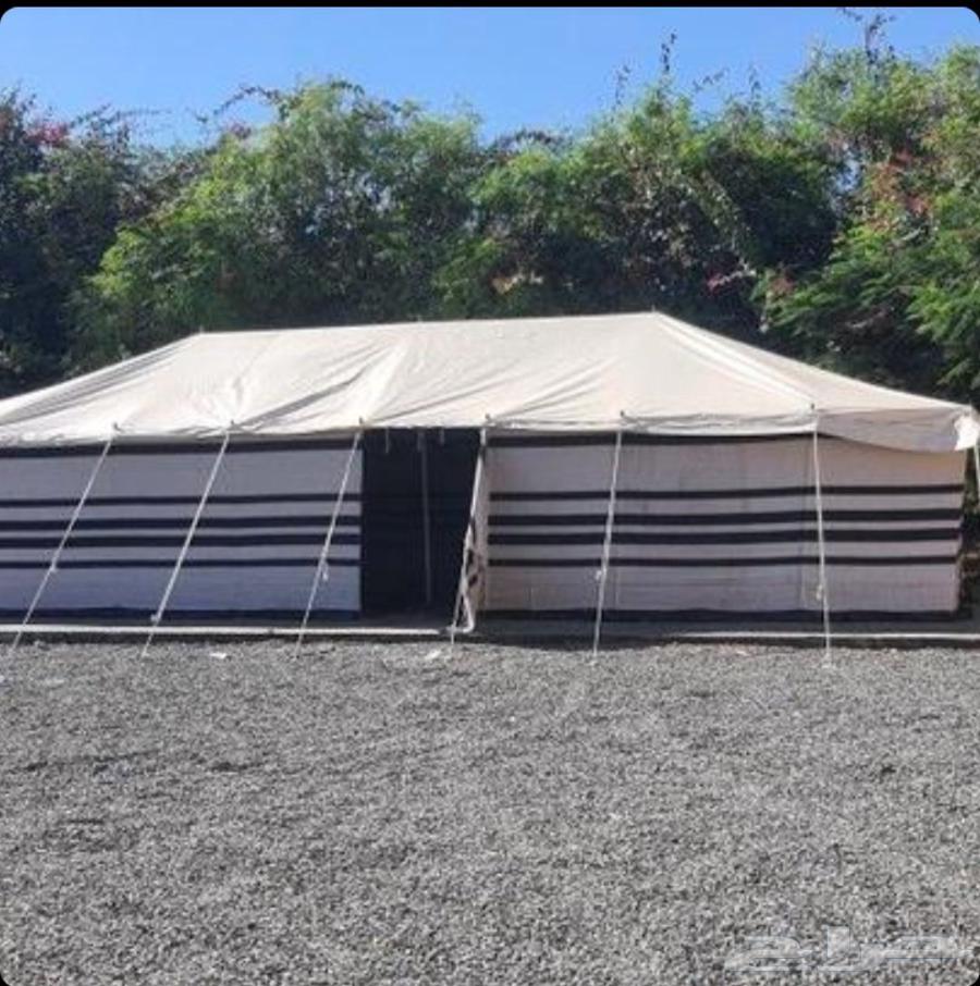 بيوت شعر جميع المقاسات اسود وبيض64403520829443112