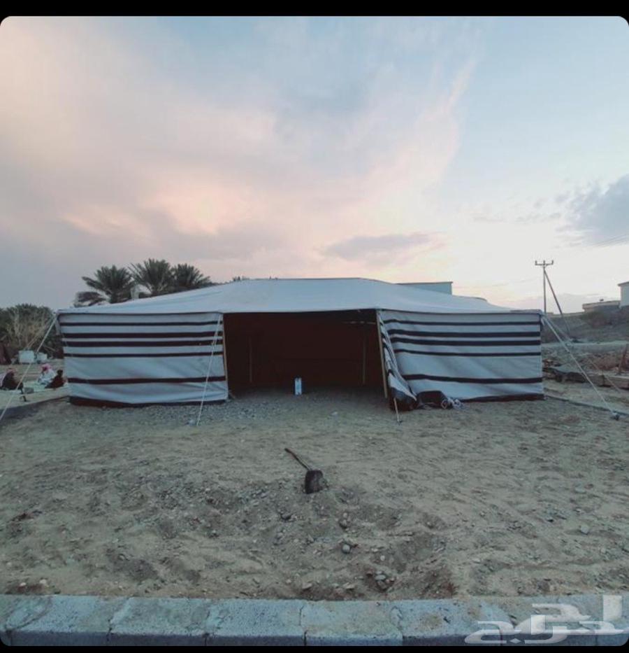 بيوت شعر جميع المقاسات اسود وبيض64403520829443113