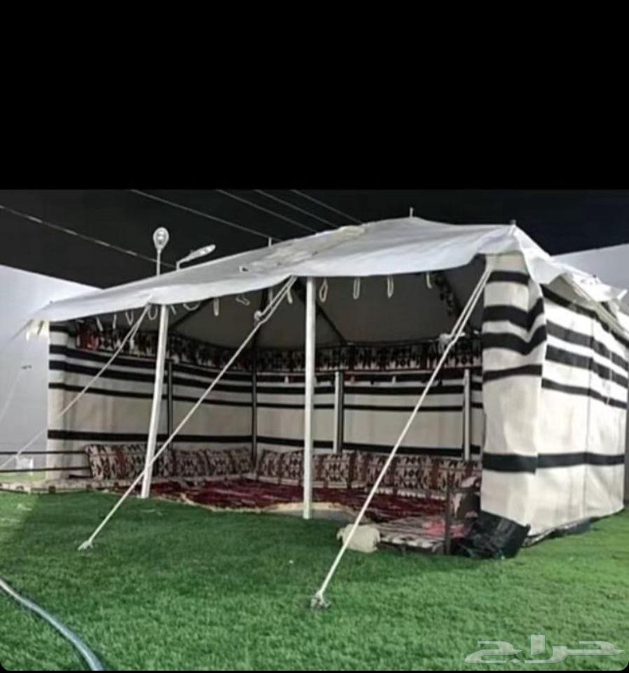 بيوت شعر جميع المقاسات اسود وبيض64403520829443110