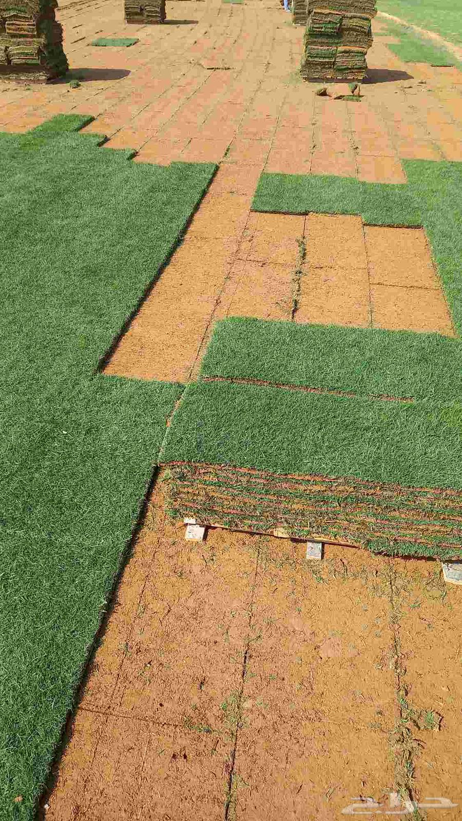 توريد وتركيب جميع انواع الثيل الطبيعي ثيل سي 2000فرنسي درجة64403456959233110