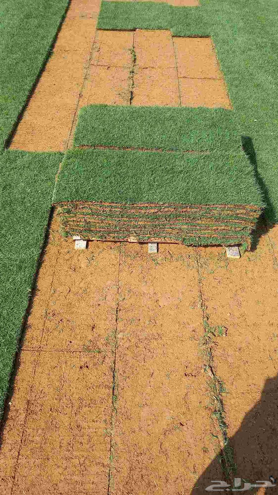 توريد وتركيب جميع انواع الثيل الطبيعي ثيل سي 2000فرنسي درجة64403456959233111