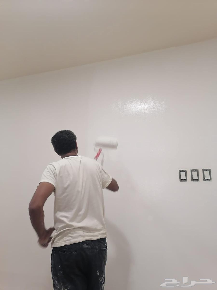 صباغ مباني دهن بويات خليه وخرجيه64524378668290110