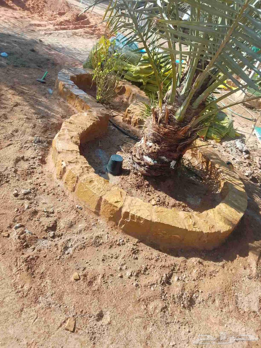 General statements64403268553602114