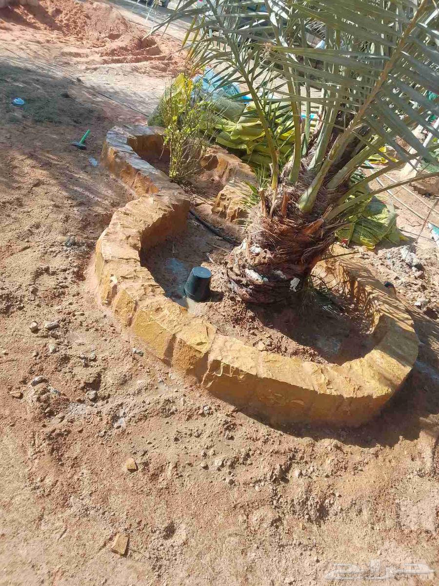 General statements64403268553602113