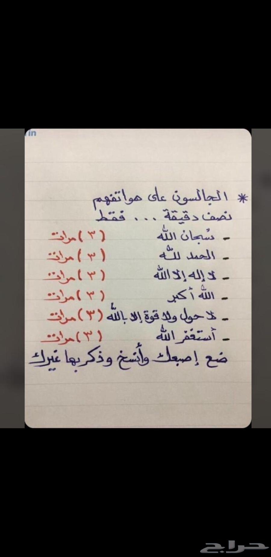 مطلوب شقة للايجار64379924063489110