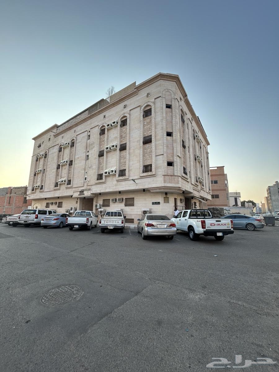 شقة للإيجار