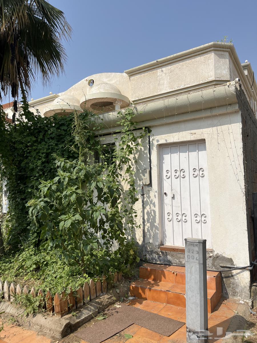 غرفة للإيجار