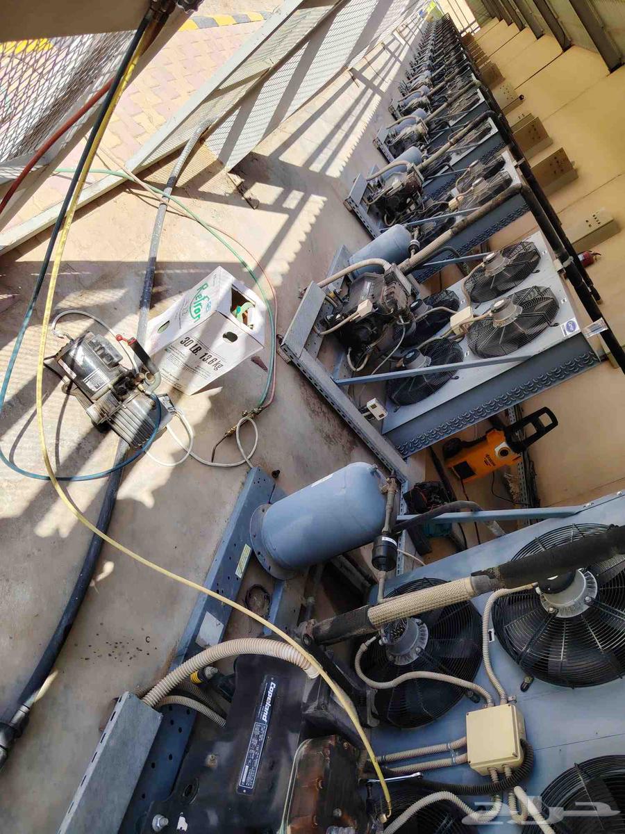 Refrigeration and Freezing Display Refrigerator Design and Installation Technician64403168158209112