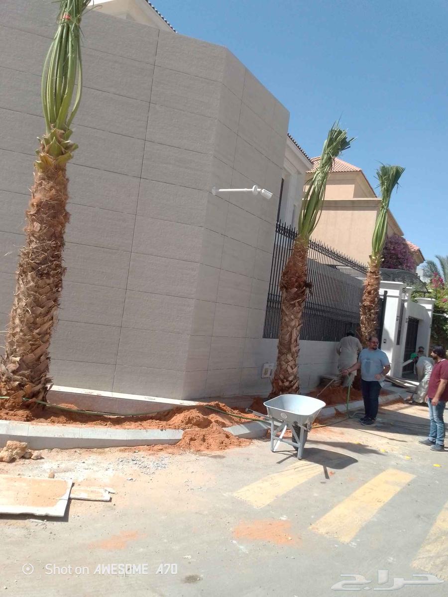 توريد وتركيب الشبوك بجميع انواعها مزارع ملعب ونقوم بتوريد64403442365442110