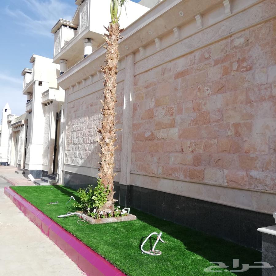 ثيل طبيعي وي ترتيب شجار64403235520130110