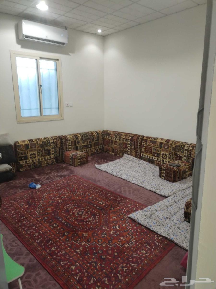 شاليه للأجار ببريدة64379939973378112