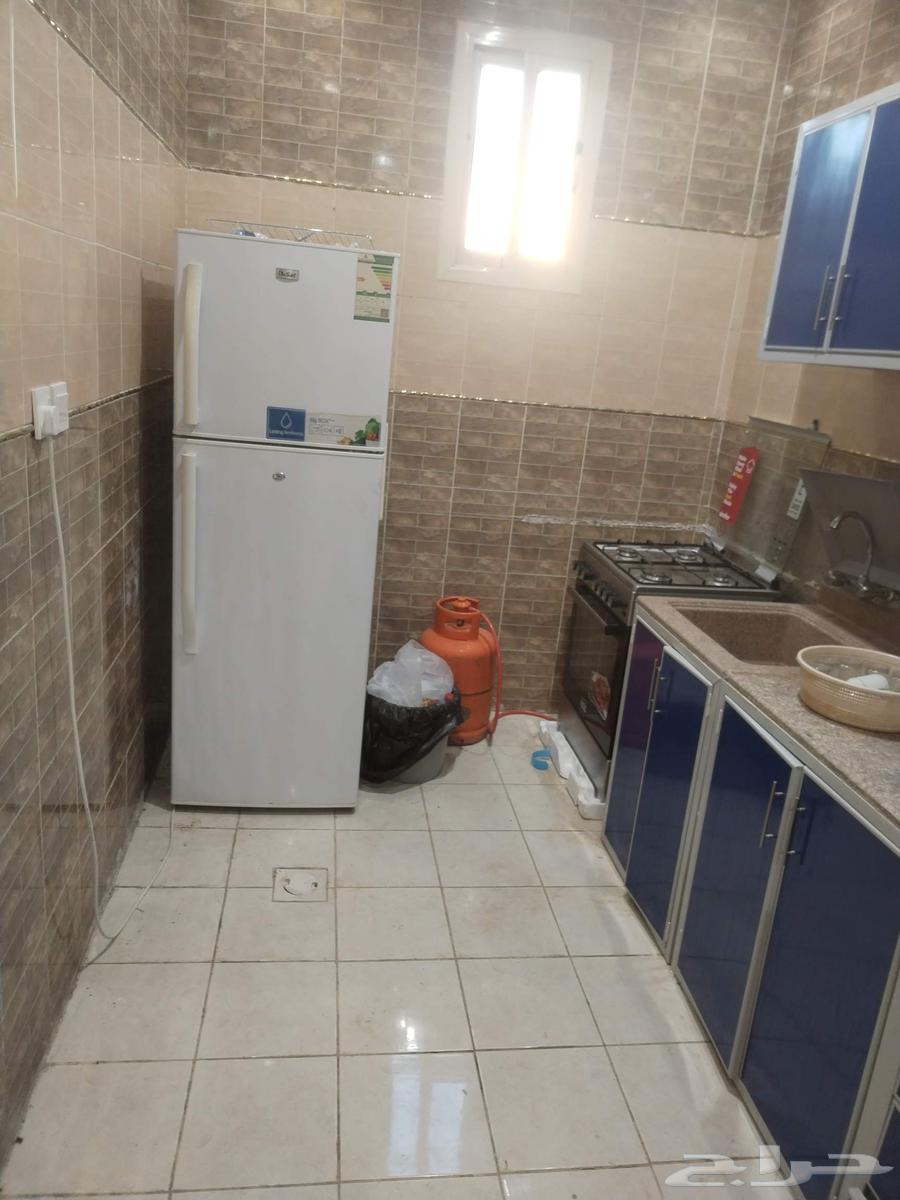 شاليه للأجار ببريدة64379939973378111