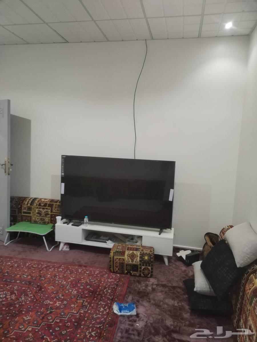 شاليه للأجار ببريدة64379939973378114