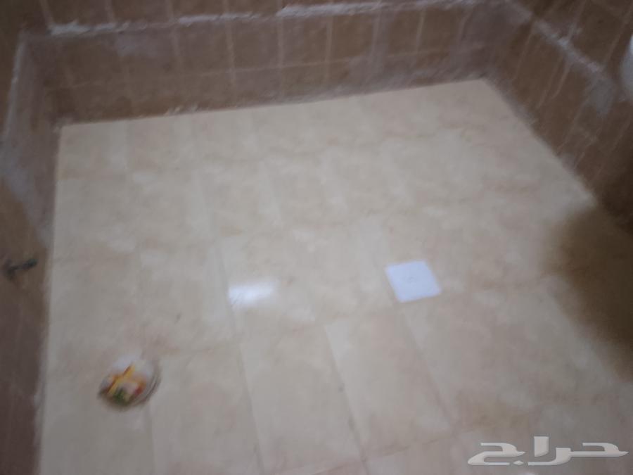 المبلط ابو عماد64403456973442113