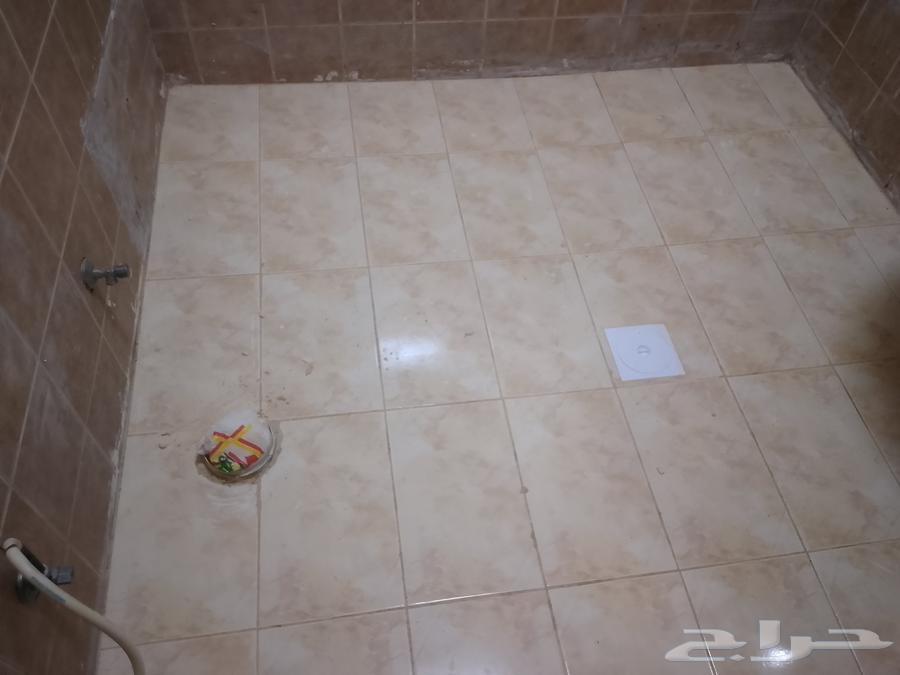 المبلط ابو عماد64403456973442112