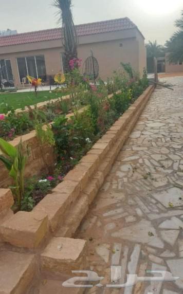 متخصصون في تركيب الحجر والشبوك64403409616258111