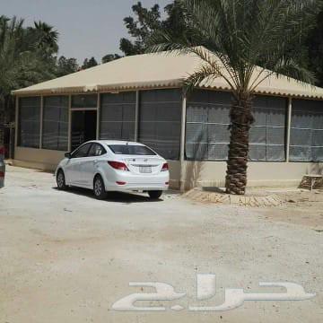 خيام بيوت شعر باالرياض64403217800707111