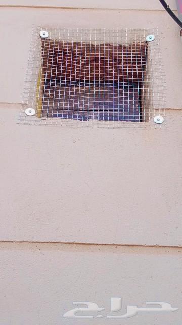 Installing bird netting, pigeon repellent installation, ventilation mesh installation64403300029186111