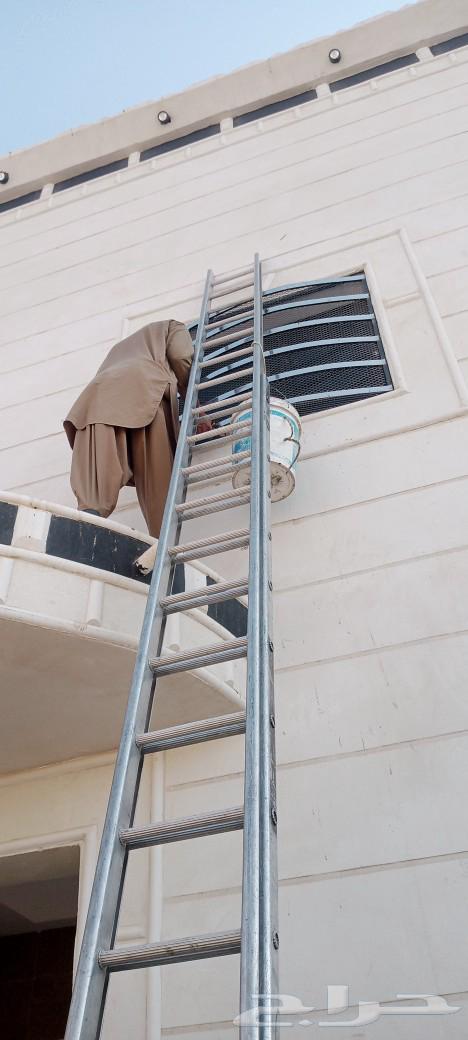 Installing bird netting, pigeon repellent installation, ventilation mesh installation64403300029186112