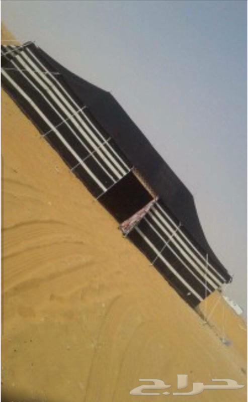 Preparing camps64532565065218114