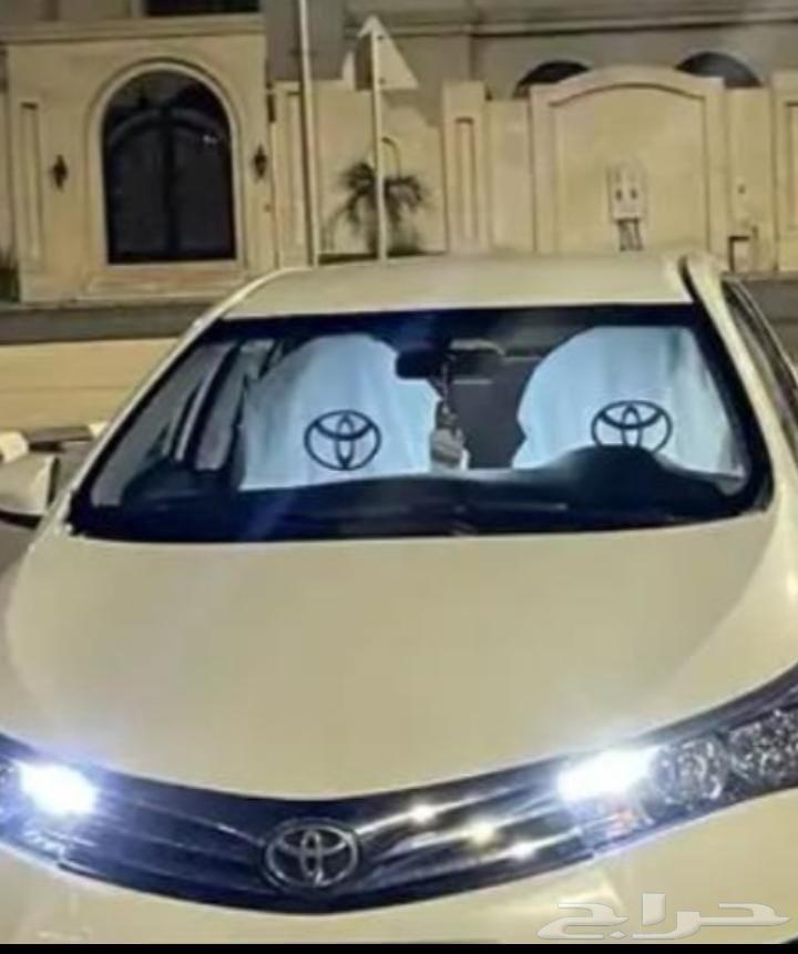 Trips within Jeddah to anywhere in Jeddah64380139692675110