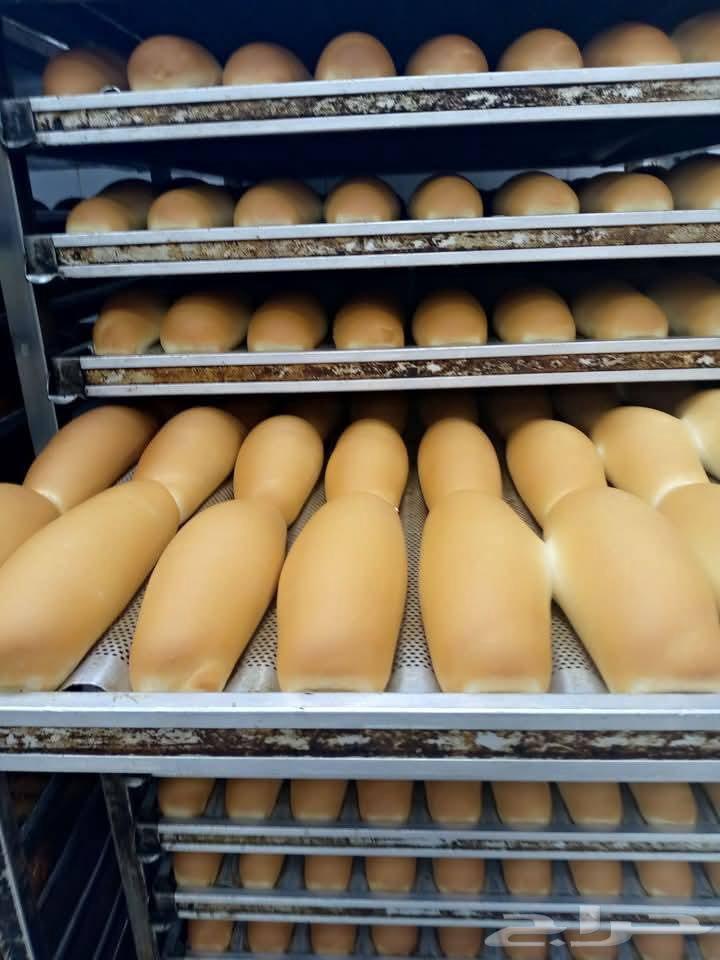 مطلوب مخبز لا ايجار او بالنسبة يكون في جدة بكامل عدتة اھم شي64379924033410110