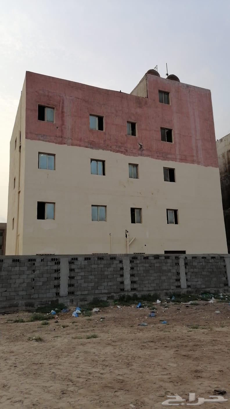 صباغ مباني دهن بويات خليه وخرجيه64524378668290112