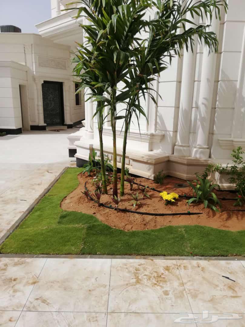 ثيل طبيعي وي ترتيب شجار64403235520130113