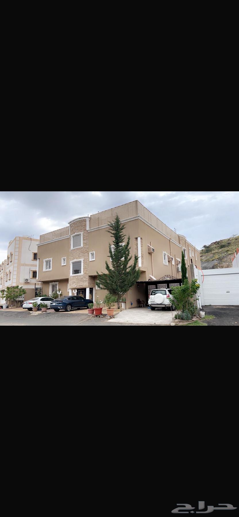 شقة للإيجار