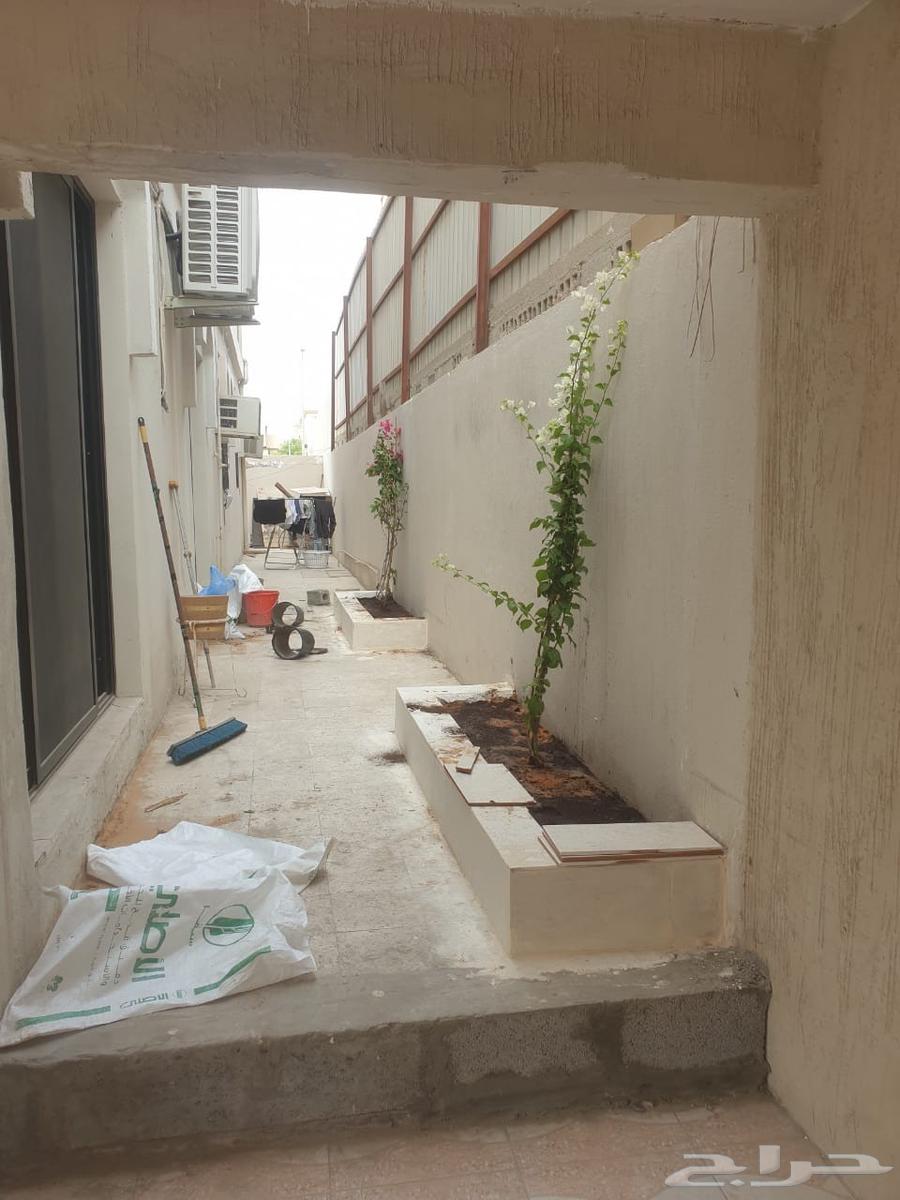 تصاميم أحواض أشجار وزراعة الأشجار  والعنايه بلمناظر الجميله64403268151555110