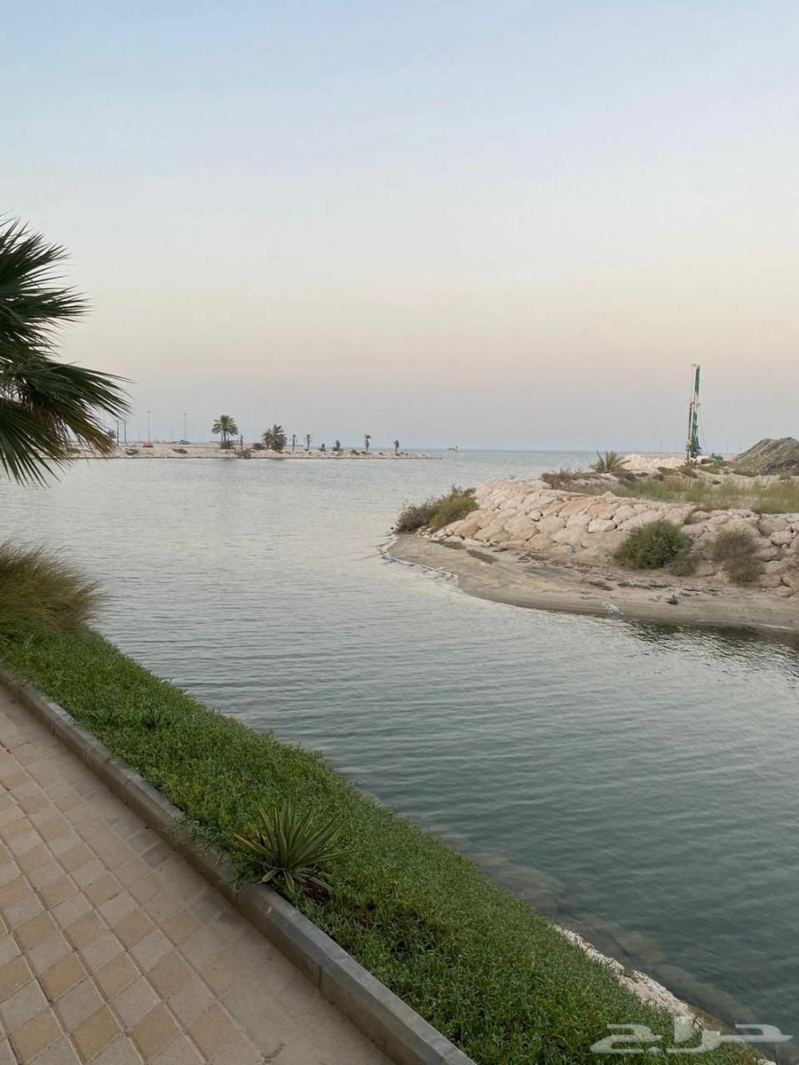 شقَّة صغيرة (استوديو) للإيجار