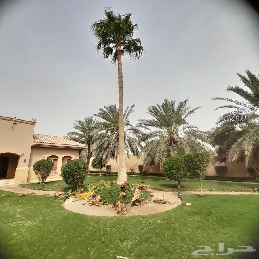 يا رب64380139534082114