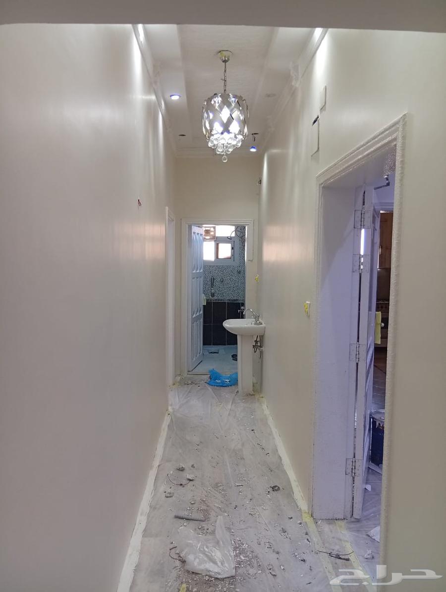 دهان مباني64403151514753112