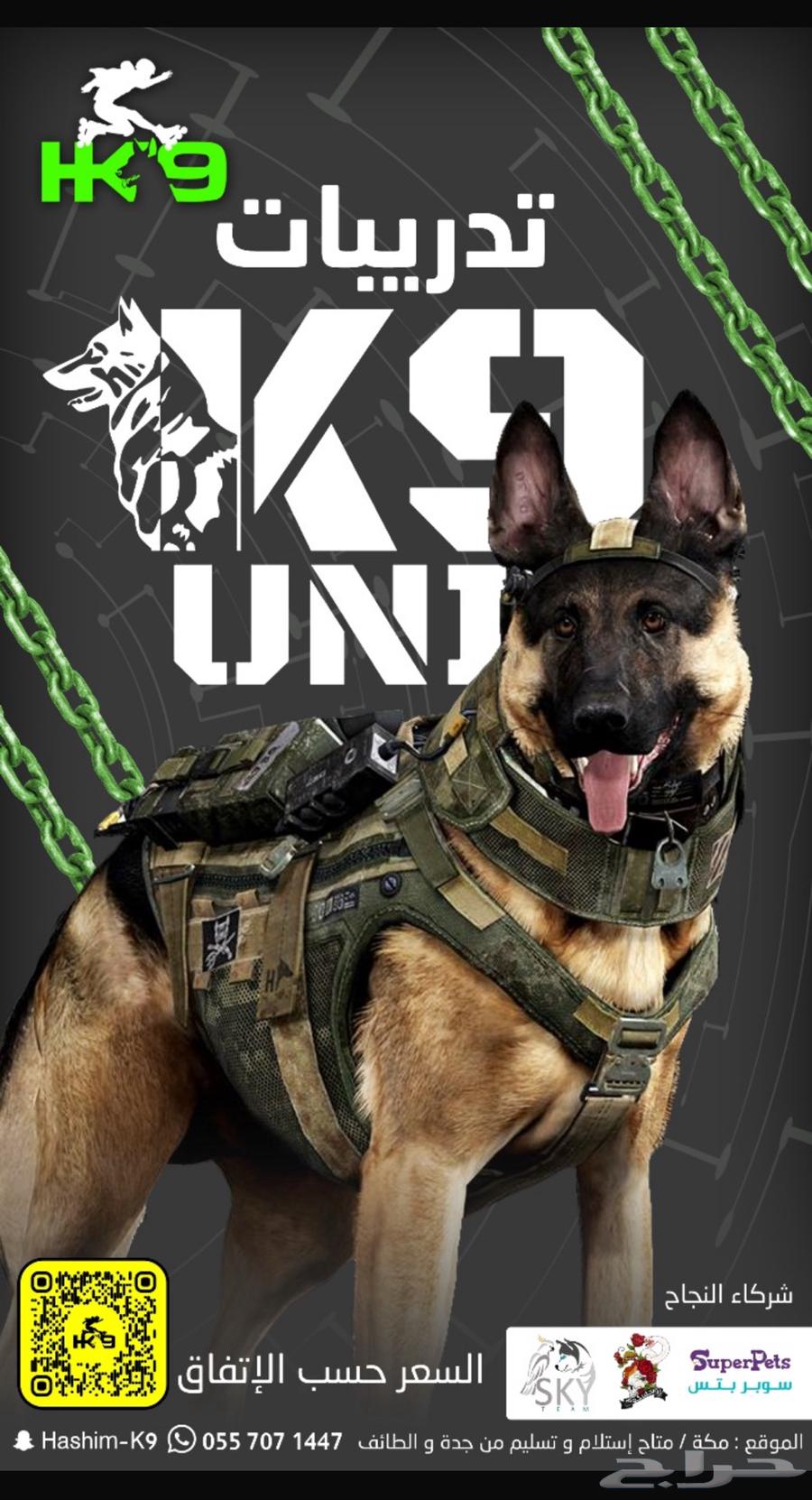 فندقه للكلاب64403392859650110