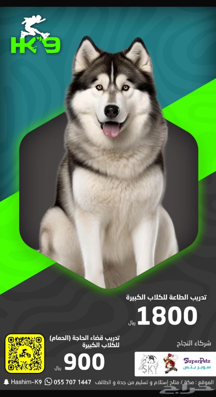 فندقه للكلاب64403392859650112