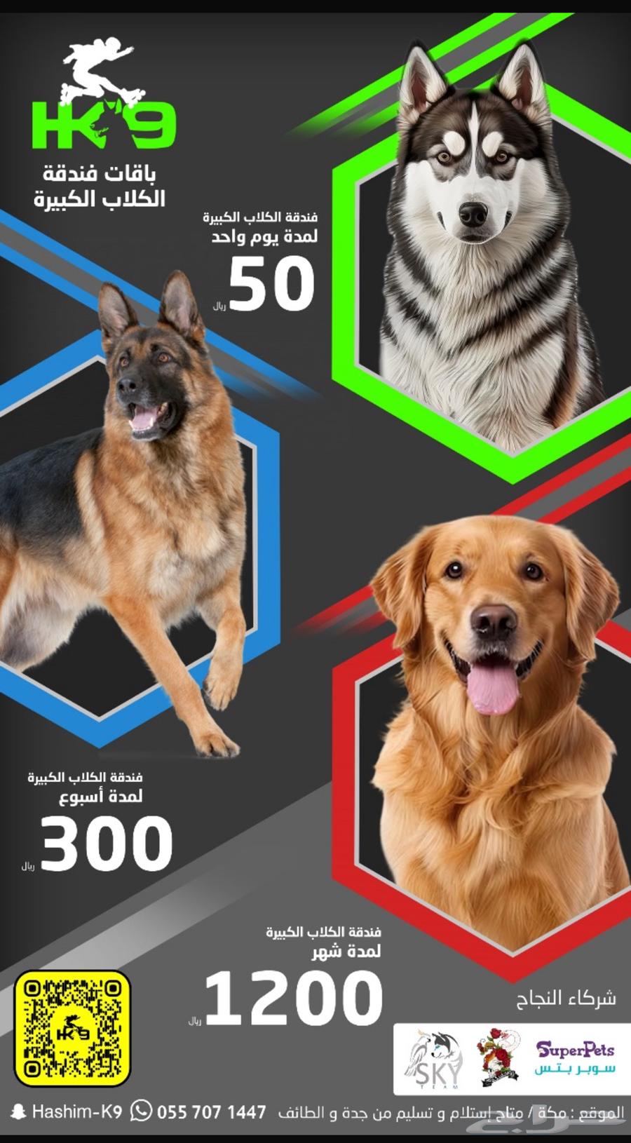 فندقه للكلاب64403392859650111