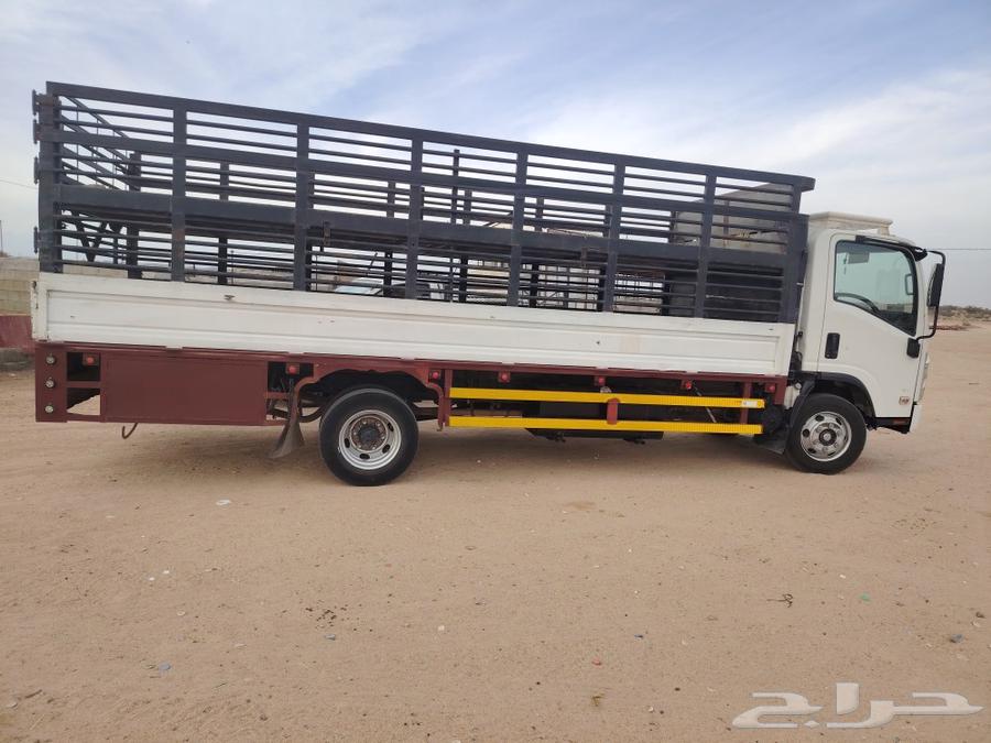 دينا 6متر نقل غنم من الطايف لي جميع المملكة64403632523266111