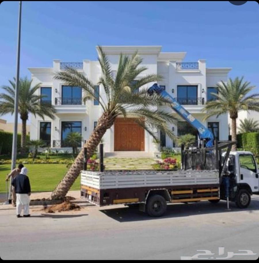 قشع نخل غرس نخل قص شجر تقطيع شجر رافعه نقل نخل64403742867843111