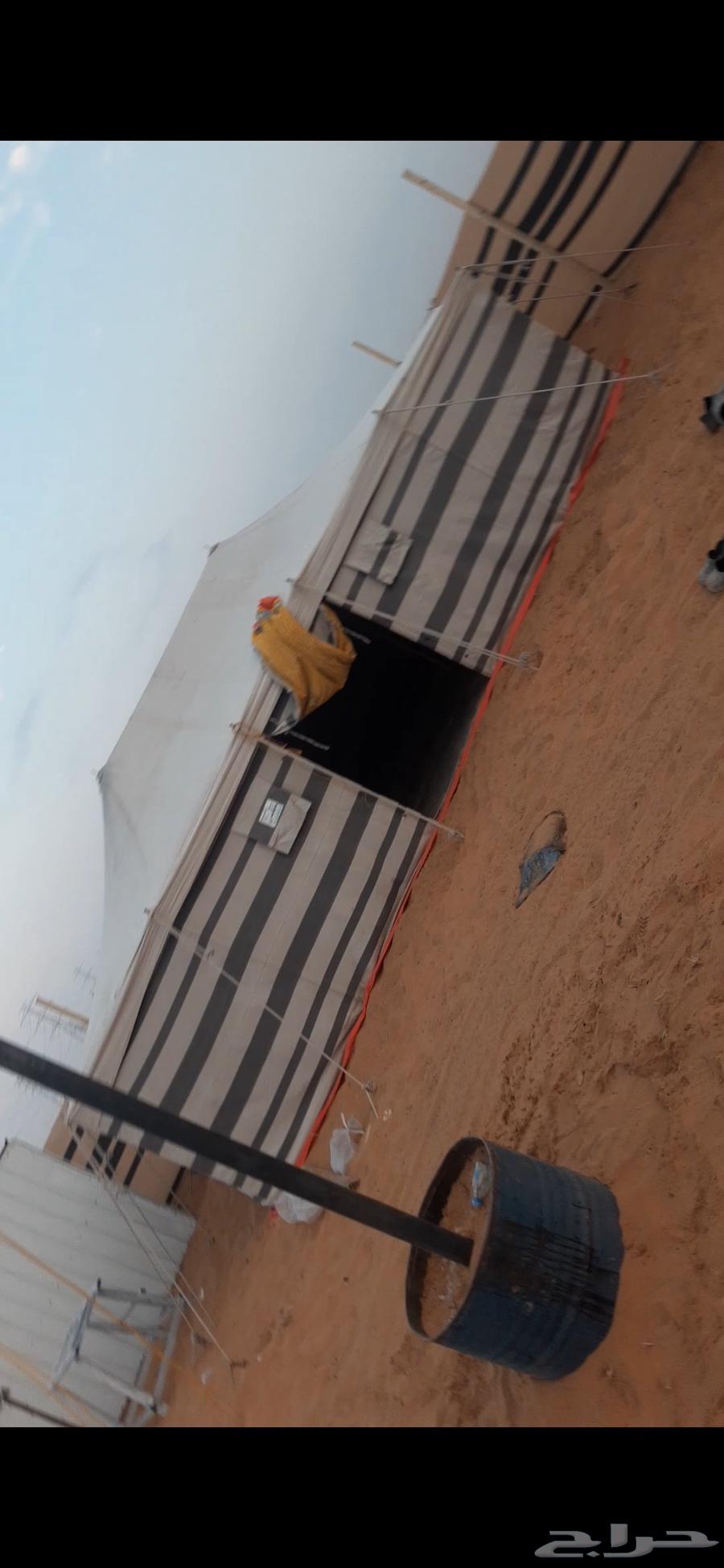 أبو أيمن لبناء الخيام وبيوت الشعر والمخيمات الكبيرة بأسعار64403854228994111