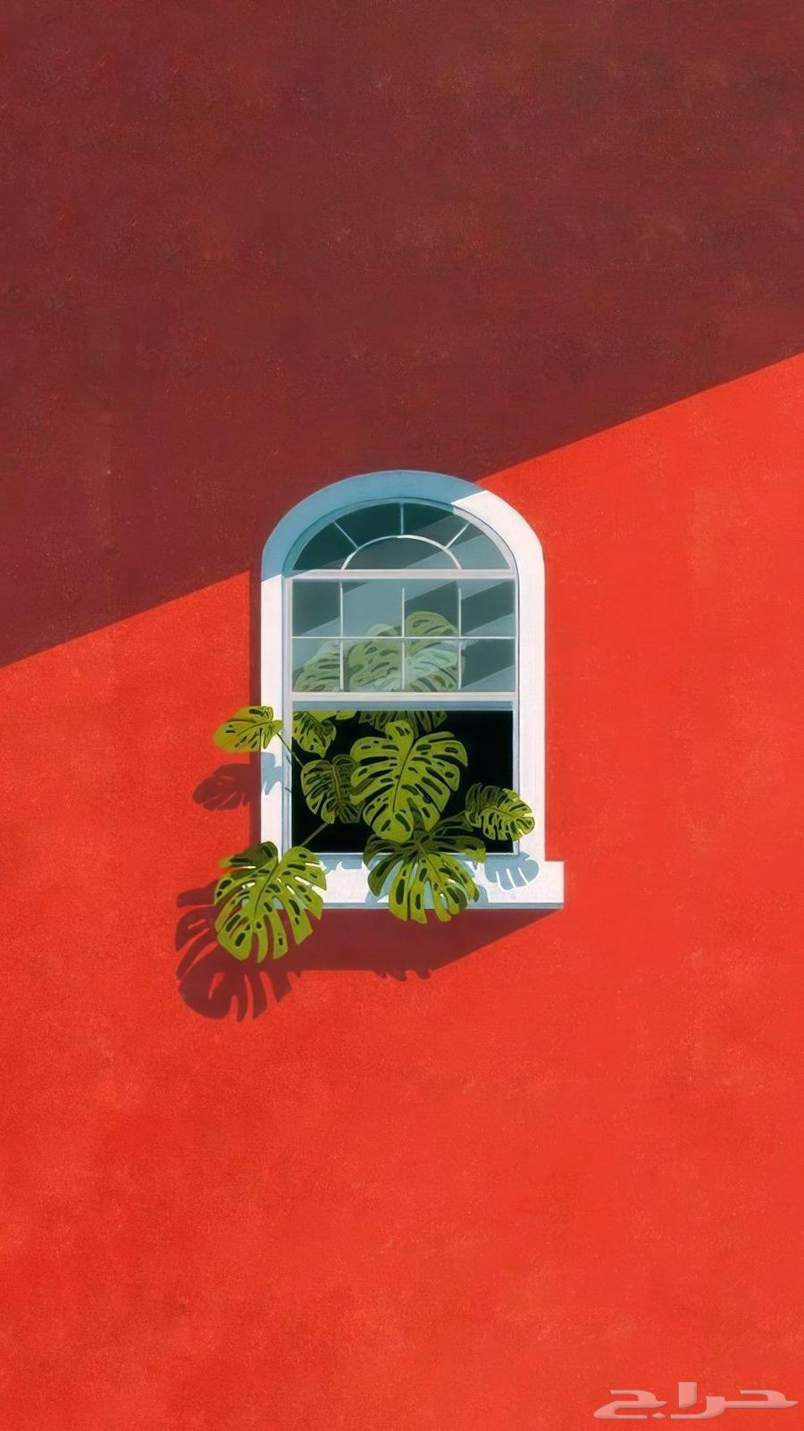 Used non-automatic car needed on installment payments even if maintenance required64473317896578110