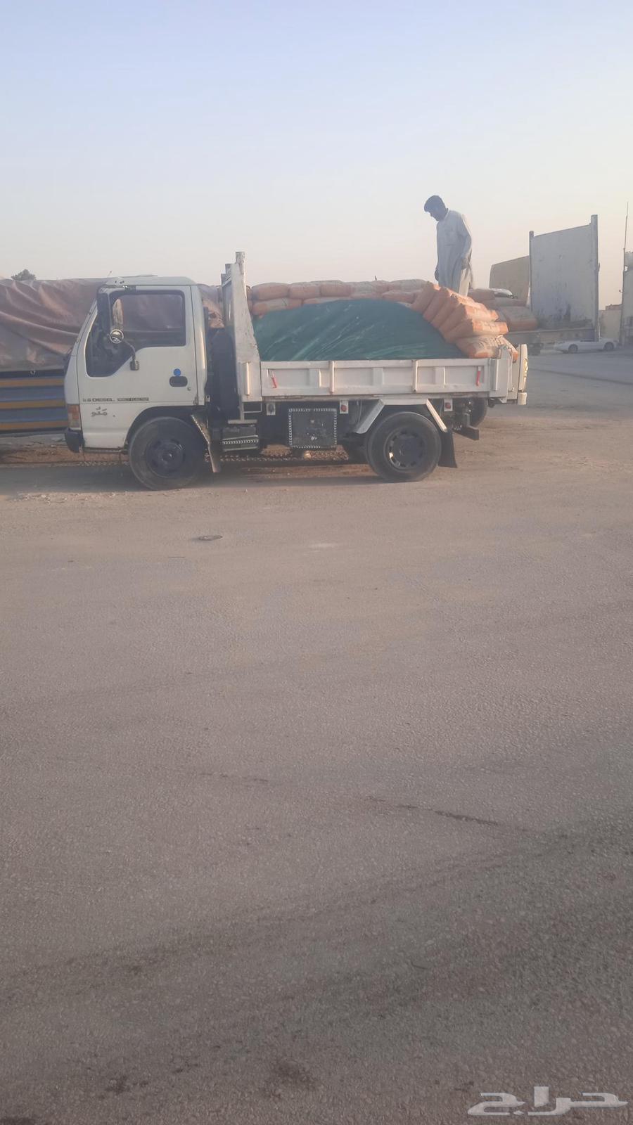 دينا زيزو جميع المشاوير64403695319042110