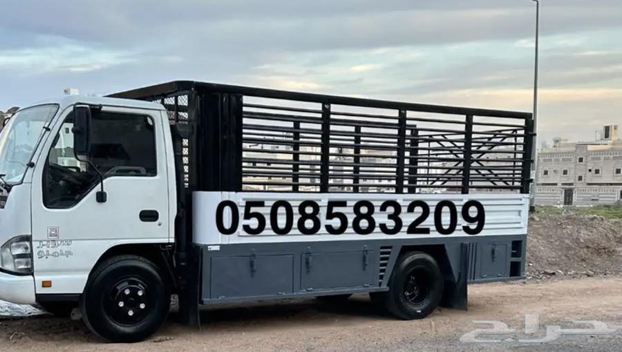 دينه دينا دنه للنقل والتوصيل (ثق اننا ارخص الاسعار)64403807102466110