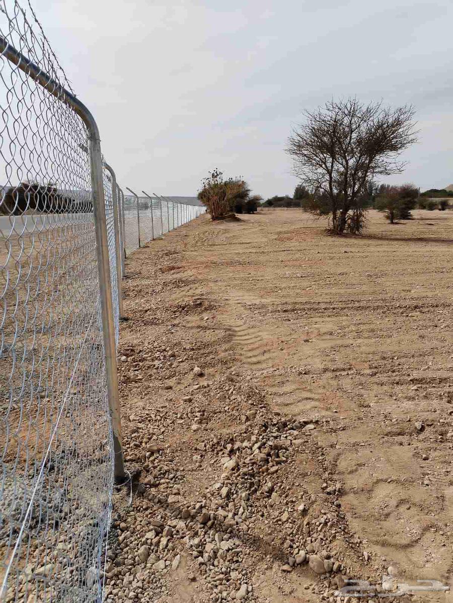 توريد وتركيب جميع انواع الشبوك المجلفنه شبوك مزارع شبوك ملا64403742391939111