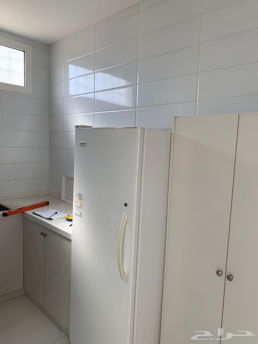 Whoever has maintenance, rejoice with good news of a reasonable price64403853031043113